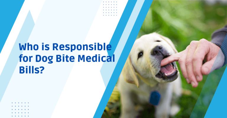 Who is Responsible for Dog Bite Medical Bills?